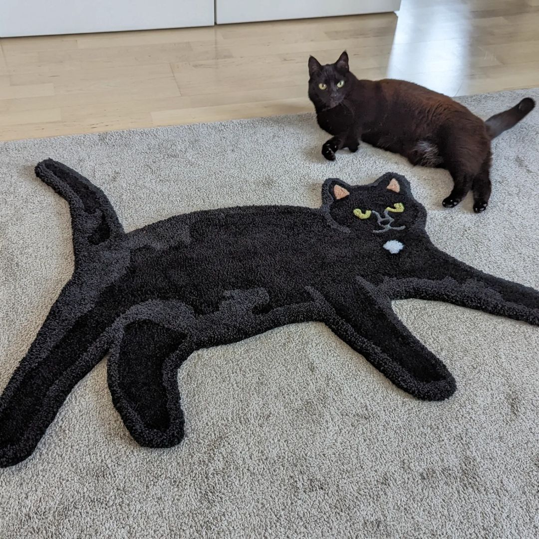 Sinun lemmikki seinävaate matto