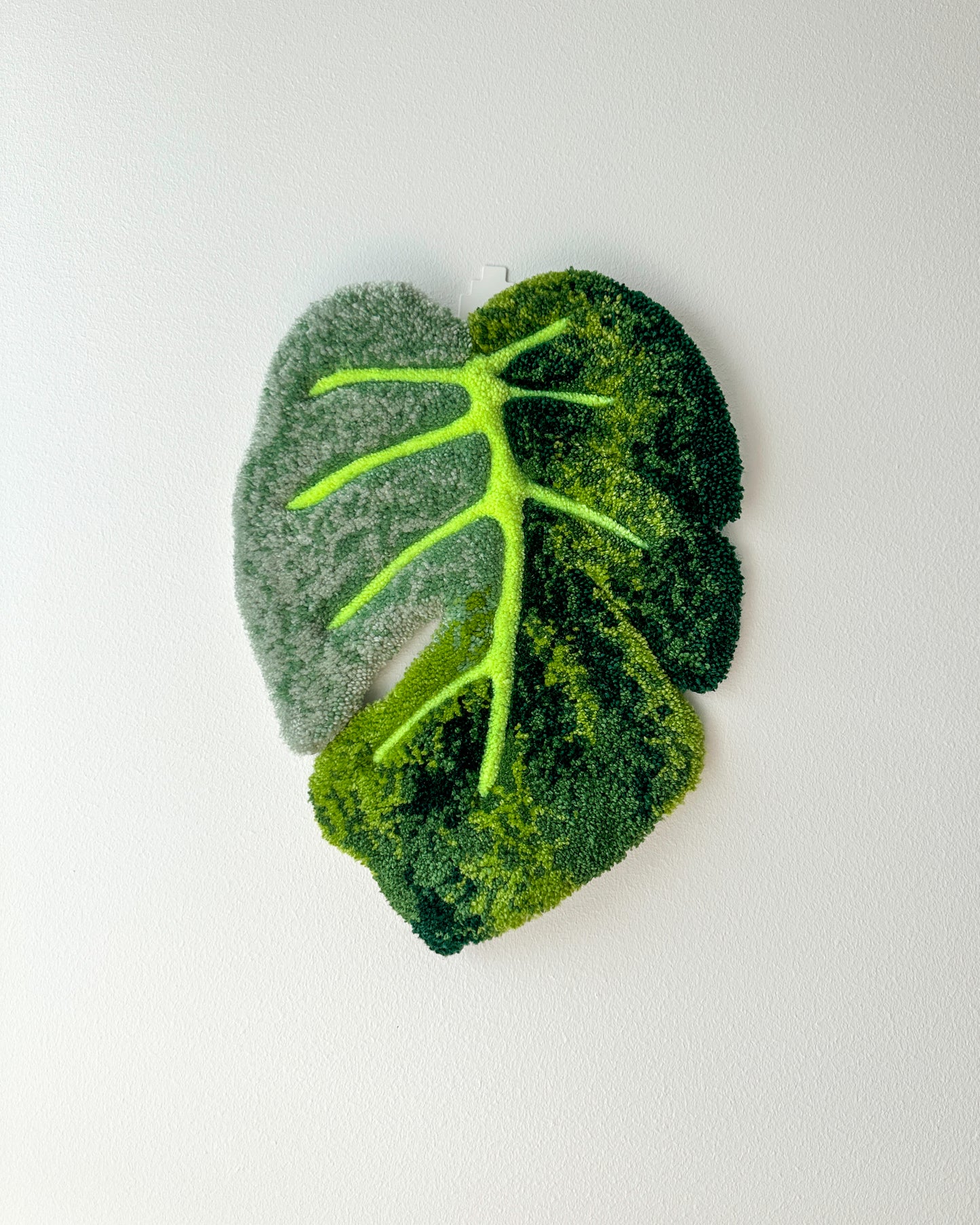 Monstera Leaf Wall - Rug