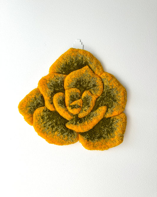 Yellow Echeveria Leaf Wall - Rug